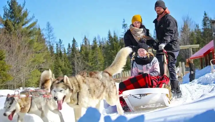  Au Chalet au Bois Rond: A dog sled ride, a unique experience!