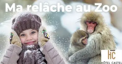Granby Zoo Package - Hotel Castel