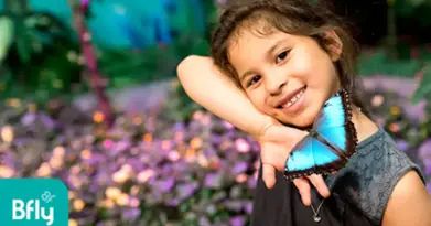 BFLY Brossard- Amusement Park