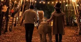 Halloween at Domaine Poissant – An Alpaca Walk!