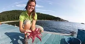 Discover Sept Îles Archipelago