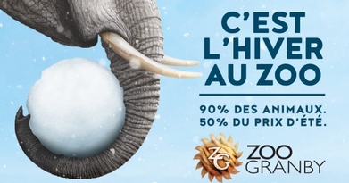 Zoo granby discount coupons 2019