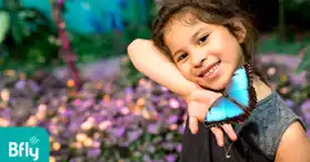 BFLY Brossard - Amusement centre