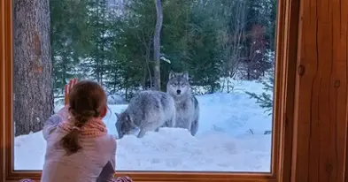 Parc Omega: accommodation in communion with nature