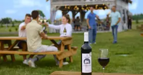 Domaine Vineterra - wine & cheese tasting, boutique