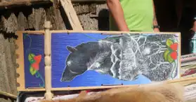 Visit Kahnawake - Many Tour Options to choose from!