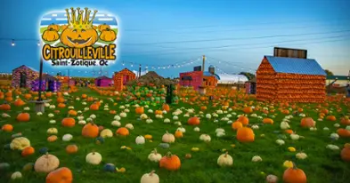 Citrouilleville, U-pick pumpkins, corn and straw maze, several photobooths!