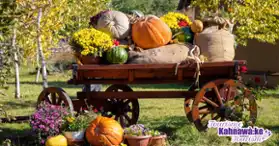 Harvest Food Fest - All October Long