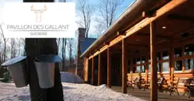 La Sucrerie des Gallant - Sugar Shack