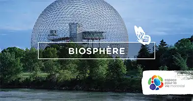 Montreal Biosphere - Espace pour la vie 