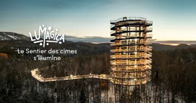 LUMAGICA – The Treetop Walk Lights Up
