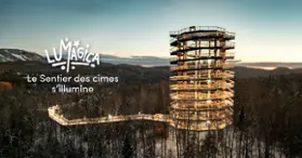 LUMAGICA – The Treetop Walk Lights Up