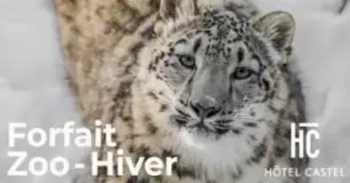 Hotel Castel, Granby Zoo Packages