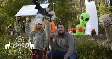 Hallowen at Alpagas du Domaine Poissant