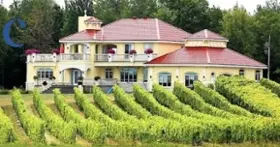 Cortellino Winery - A Corner of Italy in Montérégie