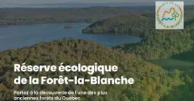 Forêt-la-Blanche Ecological Reserve