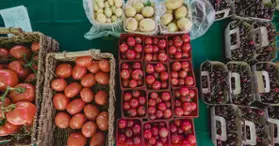 Marché public Solar Uniquartier from July 6 to September 14, 2025