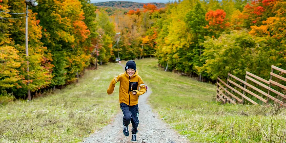 Fall Colours Festival