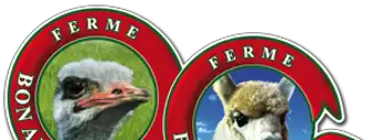 Ferme Bel Alpaga - Ostrich Farm Online Boutique