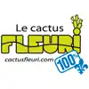 Le Cactus Fleuri - Christmas special : 20% - 50%