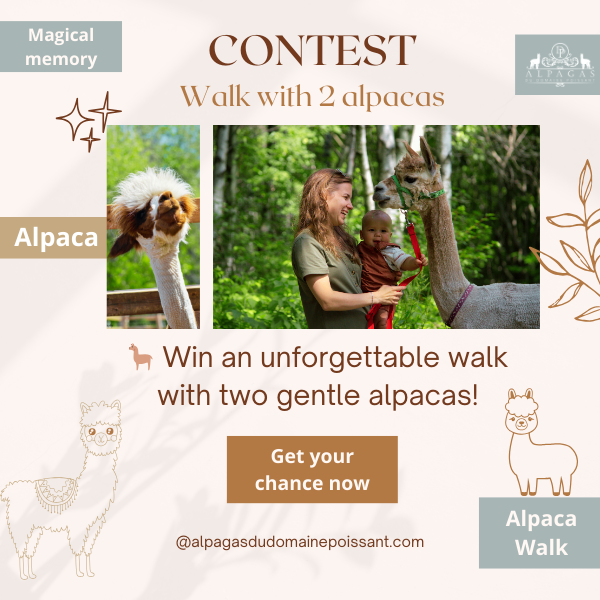 To Win