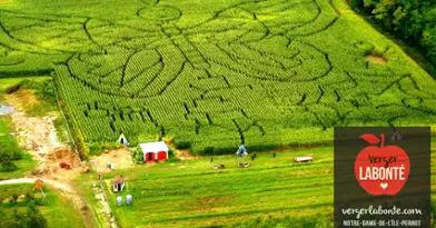 Verger Labonté Maze