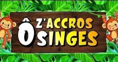 Ô z'accros singes