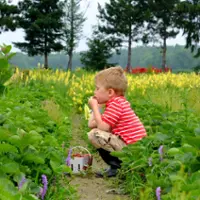 Quinn Farm