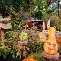 Frissons d’Halloween – Jardin botanique de Montréal