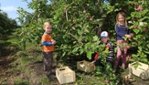 Ivanhöe Faille Orchards