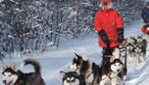 Huskimo Dog Sledding - Dog sledding package in the Ottawa area