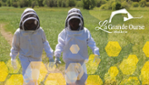 Honey Farm & Meadery Beekeeper & Hydromelry - Guided tour