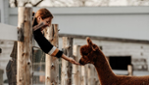 What to do in Vaudreuil-Soulanges