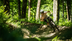 Bromont, montagne d’expériences - Water slides - Mountain Bike