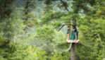 Discover Abitibi-Témiscamingue