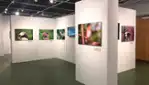 Biophare - Exhibitions