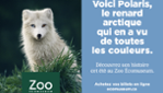 Zoo Ecomuseum - A zoo in Montreal