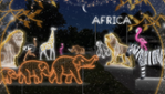 Parc Safari - 50 years of Wonders