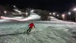 Camp Fortune - Ski, Coaster, Aerial Park and Ziplines
