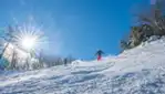 Camp Fortune - Ski, Coaster, Aerial Park and Ziplines