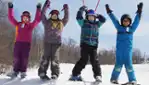 Camp Fortune - Ski, Coaster, Aerial Park and Ziplines