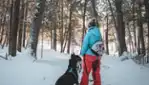 What to do in the Gatineau Valley
