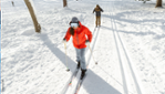Mount Royal: fun for everyone ! 
