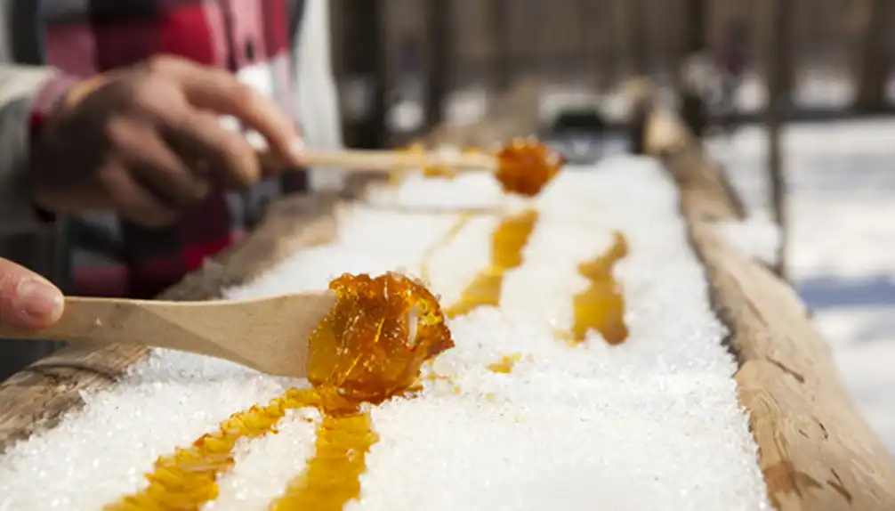 La Sucrerie des Gallant - Sugar Shack