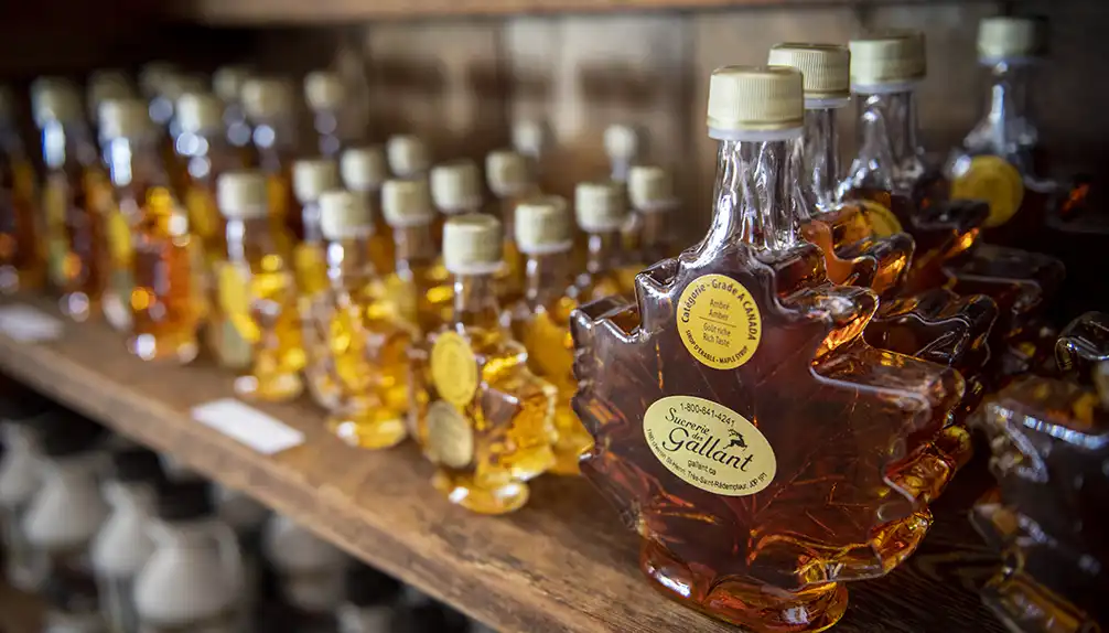 La Sucrerie des Gallant - Sugar Shack