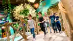 BFLY Magical Amusement Park - Dix30 Brossard