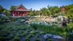 Botanical Garden - Space for Live