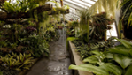 Botanical Garden - Space for Live
