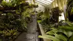 Montreal Botanical Garden - Space for Live