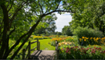 Botanical Garden - Space for Live